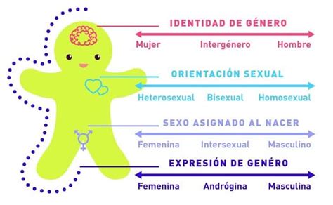 transexuale|Diferencias entre transgénero y transexual